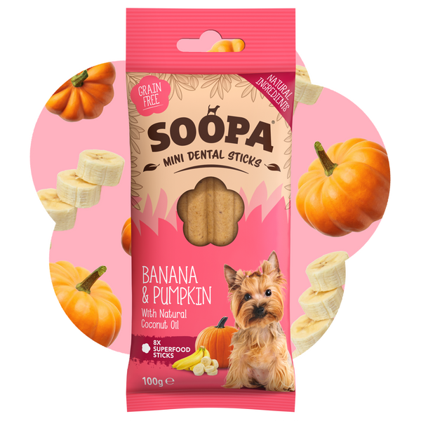 Banana & Pumpkin Dental Sticks for Mini Dogs