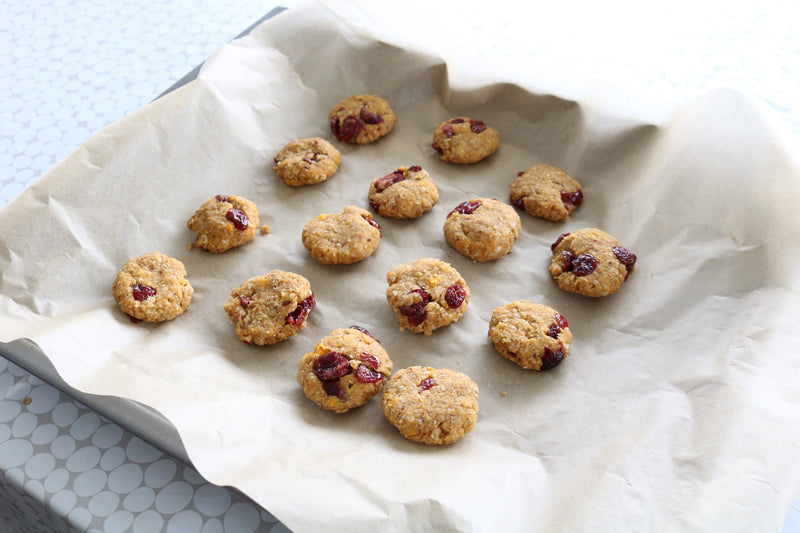 Breakfast Cookies (you can share with your dog!)