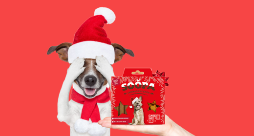 The Pawfect Christmas Gift