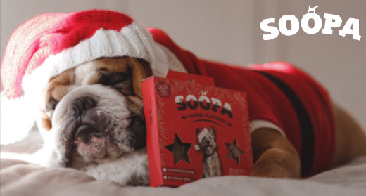 Why Shop with Soopa this Christmas?