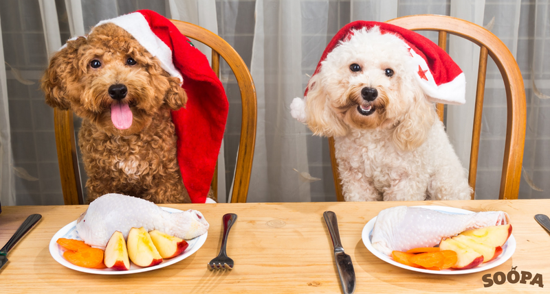 Dog Safe Christmas Dinner