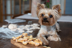 Vegan plant based dog treats