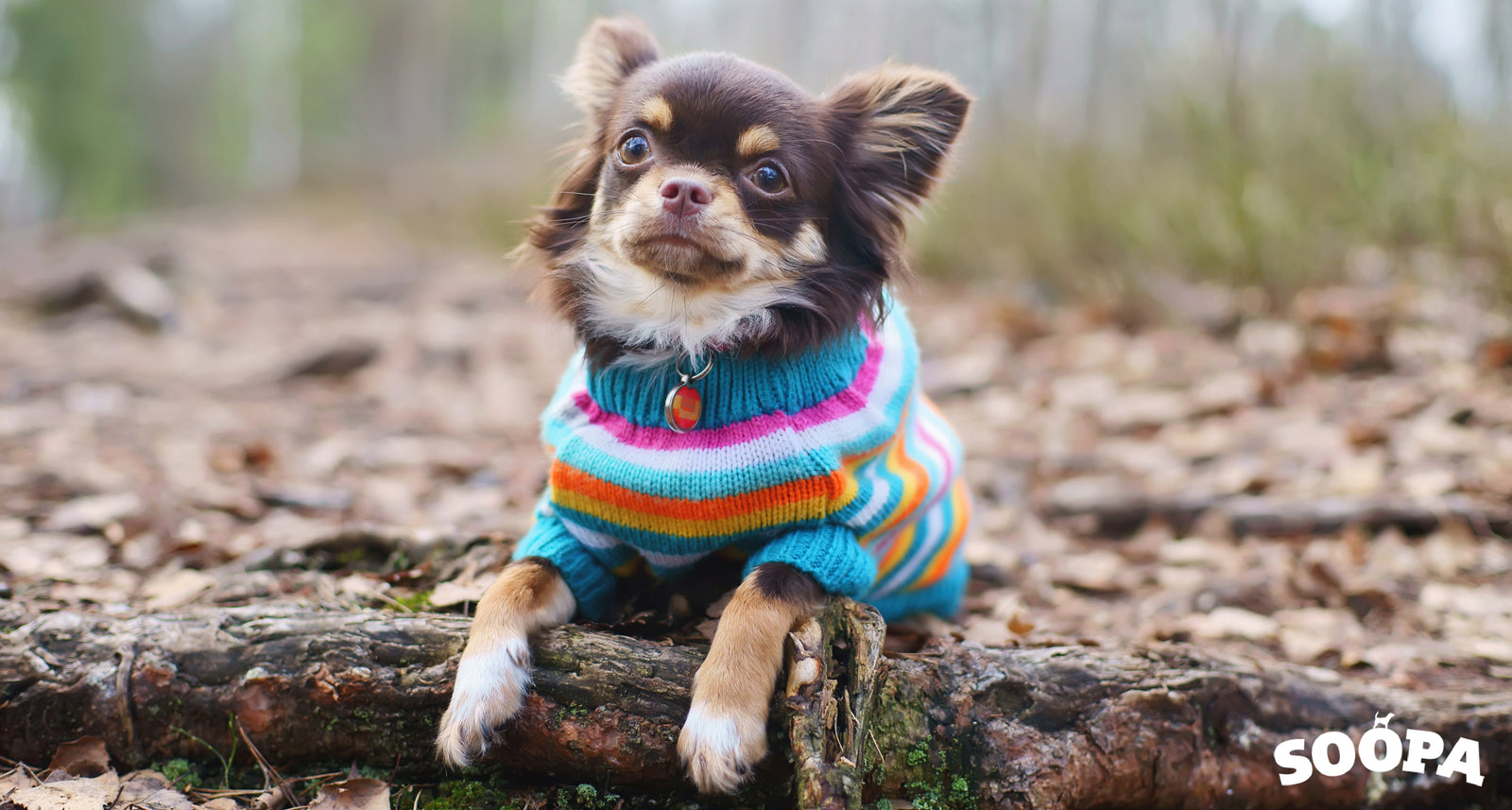 Warming this Winter