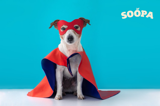 #SoopaHeroes
