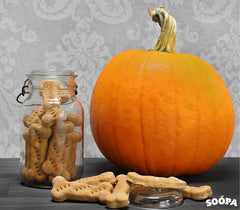 Halloween Pumpkin Dog Treats 