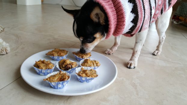 Carrot & Cranberry Mutt Muffins