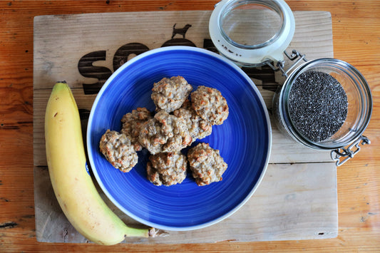 Homemade low fat dog treats 