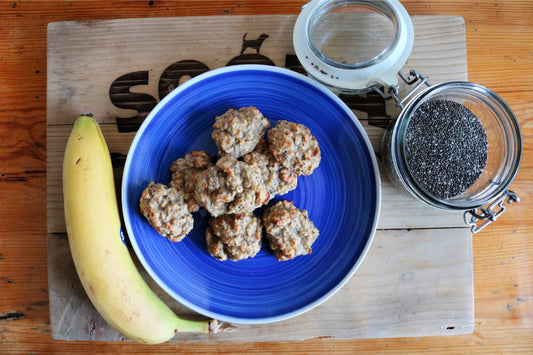 Homemade low fat dog treats 