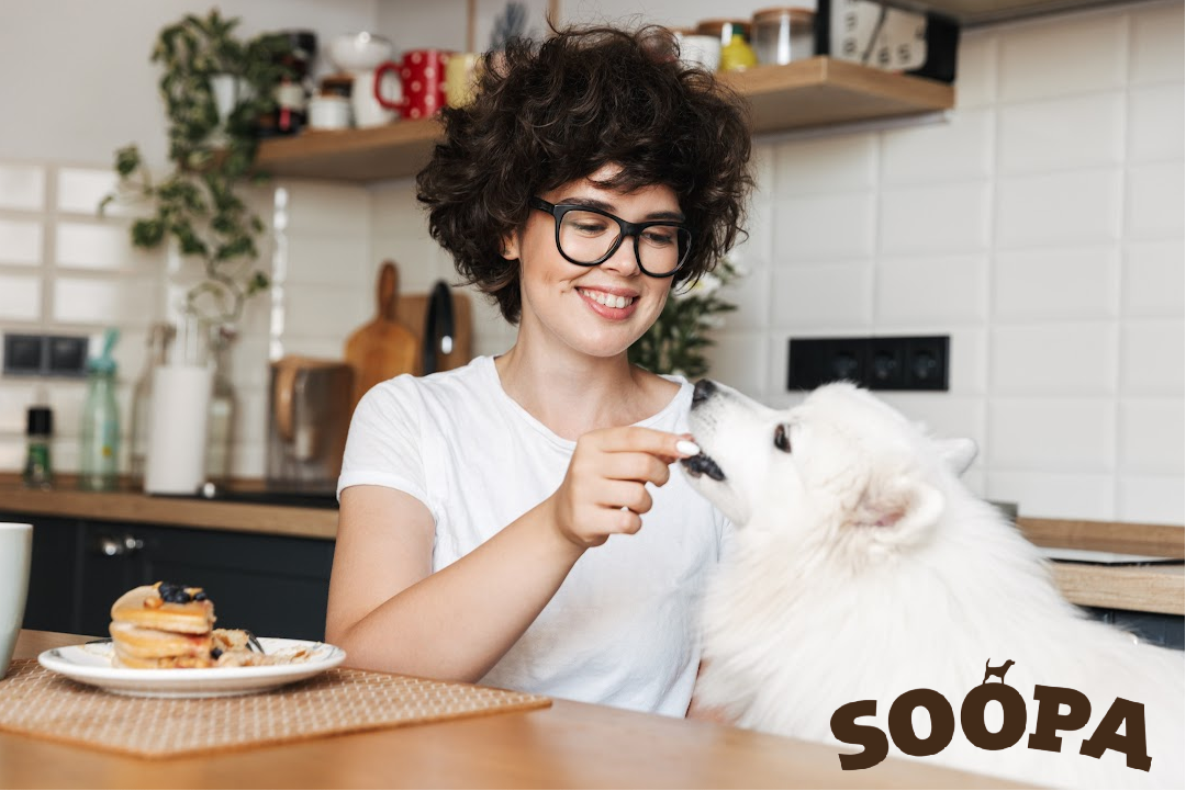 National Cook for Your Pet Day