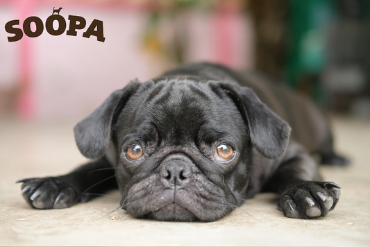 Soopa Snacks for Allergy Relief