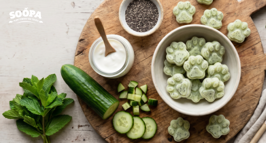 Cucumber & Mint Frozen Dog Treat Recipe
