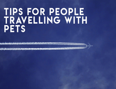 Tips for People Travelling with Pets
