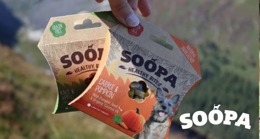 The Benefits of Grain-Free Organic Treats for Dogs with Allergies