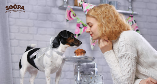 Strawberry & Oat Pup-cakes for Dogs