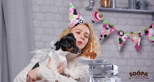10 Safe Ways to Celebrate Your Dog’s Birthday (for all dogs)
