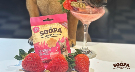 Frozen Berry “Dogquiri” Mocktail for Dogs