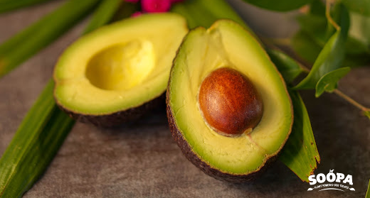 Can Dogs Eat Avocado? Is Avocado Safe for Dogs?