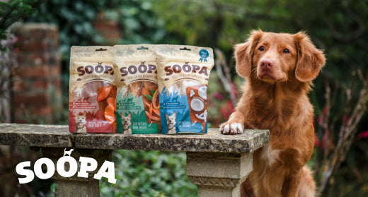 Superfood Chews: Why Soopa Chews are Perfect for Dogs with Health Conditions