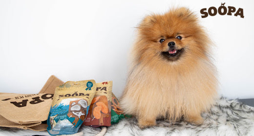 Boost Your Dog's Health with Our Plant-Based Chews: The Benefits of Papaya, Sweet Potato, and Coconut