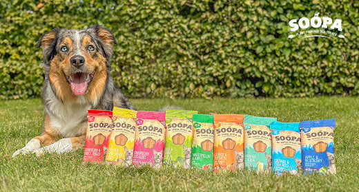 Vegan Dog Treats: A Trend That's Here to Stay in 2025