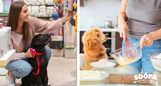 Homemade Diabetic Dog Treats vs Store-Bought: What’s Safer?