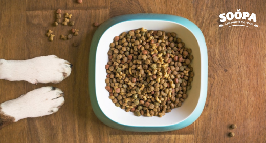 Is Human Grade Dog Food Better for Dogs Than Feed-Grade?