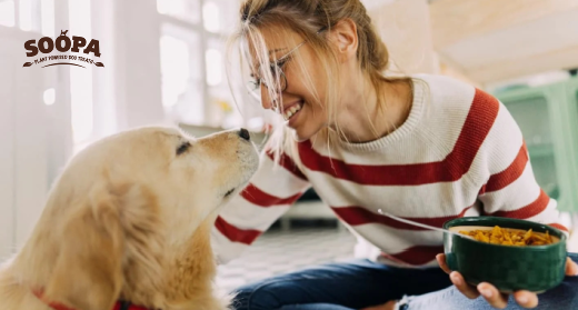 Human Grade Dog Food: The Ultimate Guide for Pet Owners