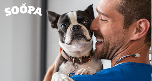 Is Your Dog Overweight or Underweight: Understanding Your Dog’s Body Condition