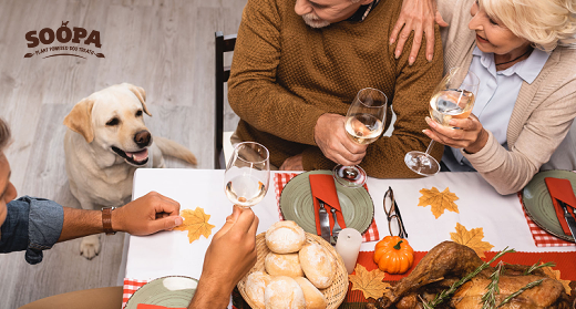 Can Dogs Eat Christmas Dinner? Everything You Need To Know