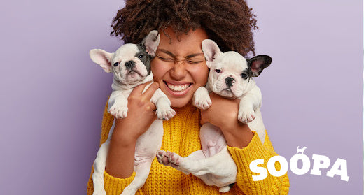 Puppy-Proofing 101: Creating a Safe Haven for Your New Pal