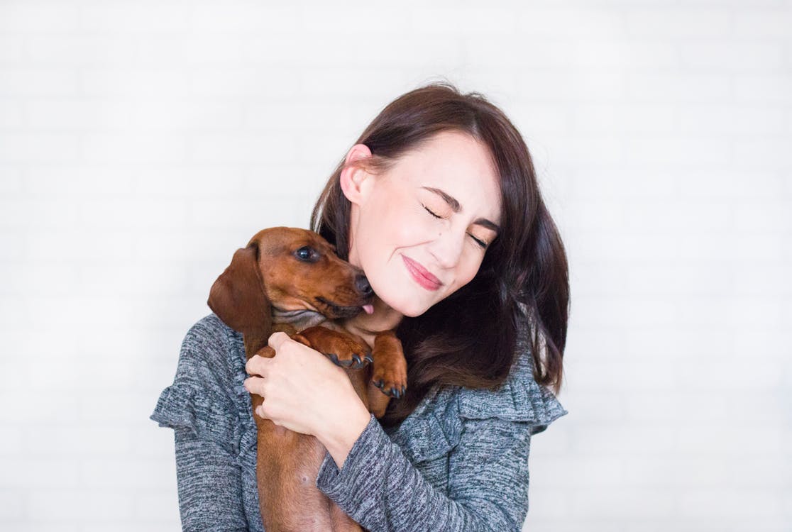 Indoor air quality for your pets