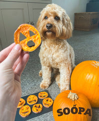 Howloween Treat Recipe