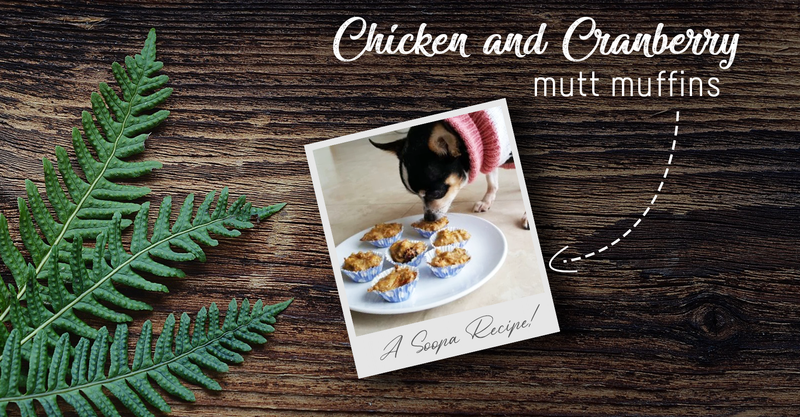 Chicken & Cranberry Mutt Muffins