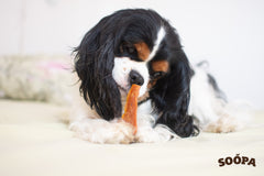 sweet potato dog treats 