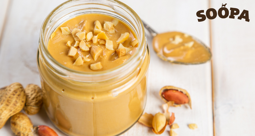 Dog ate too sales much peanut butter