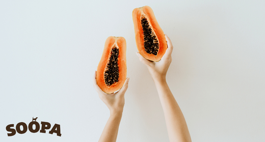 Why is Papaya Good for Dogs?
