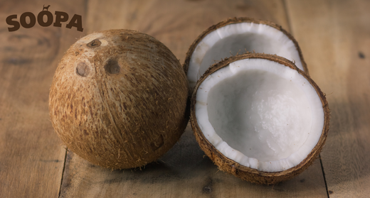 Why is Coconut Good for Dogs Soopa Pets