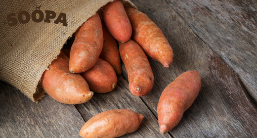 Why is Sweet Potato Good for Dogs?