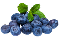 Blueberry