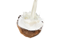 Coconut Milk