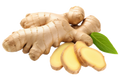 Ginger