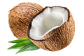 Coconut
