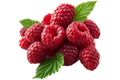 Raspberry