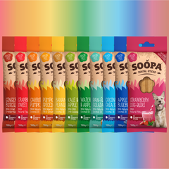 Chomp the Rainbow Bundle