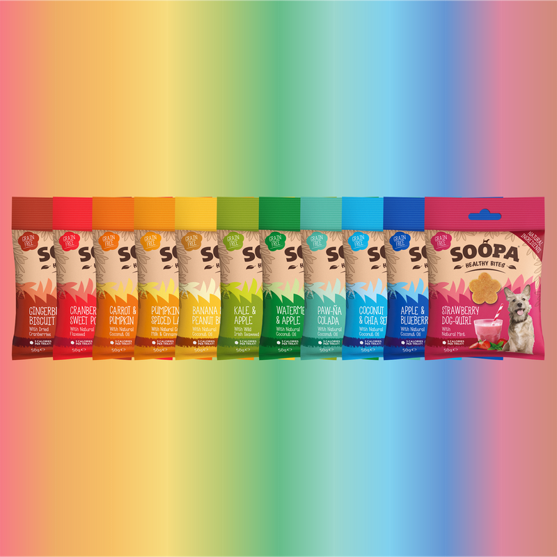 Bite the Rainbow Bundle