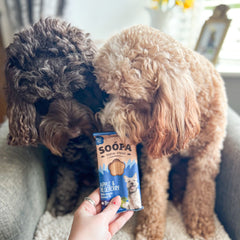 Apple & Blueberry Dental Sticks