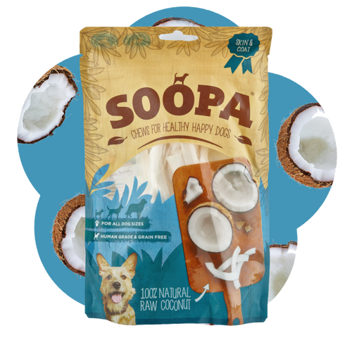 Natural Coconut Chews