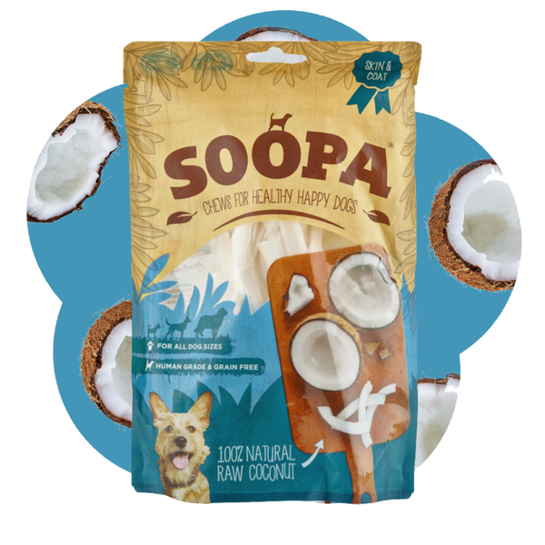 Natural Coconut Chews