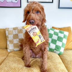 Banana & Peanut Butter Dental Sticks