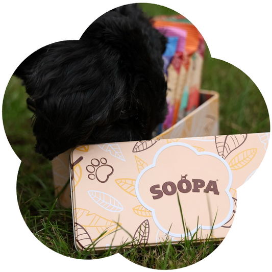 Soopa Dog Treat Tin